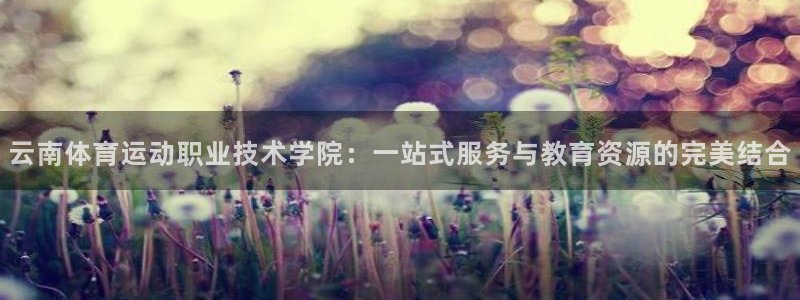 云南体育运动职业技术学院：一站式服务与教育资源的完美结合