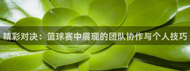 精彩对决：篮球赛中展现的团队协作与个人技巧