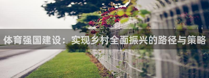 体育强国建设：实现乡村全面振兴的路径与策略