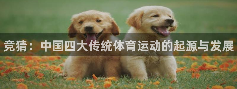 竞猜：中国四大传统体育运动的起源与发展