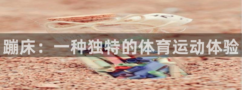 蹦床：一种独特的体育运动体验