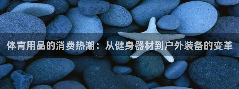 体育用品的消费热潮：从健身器材到户外装备的变革