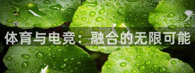体育与电竞：融合的无限可能